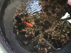 -范设计花园餐酒咖·中西餐·咖啡厅·酒馆