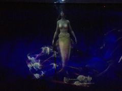 -贝壳梦幻世界