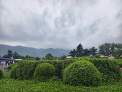 -秦始皇帝陵博物院-丽山园