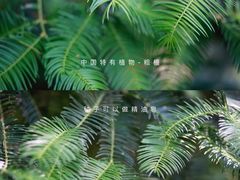 -国家植物园