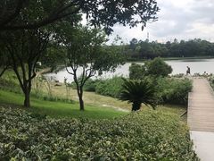 -美兰湖景区