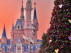 -上海迪士尼度假区