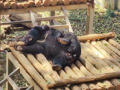 -昆明动物园