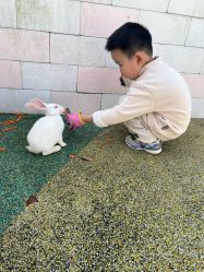 -季高兔窝窝亲子园(上海薰衣草公园店)