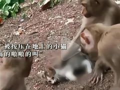 -昆明动物园
