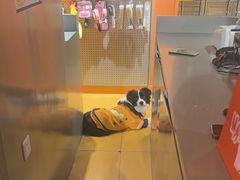 -MARSMART PETS火星宠物超市(1733店)