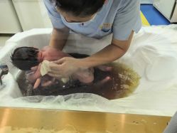 点击看大图 -梓爱月子中心(花都店)