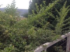 -映月潭温泉