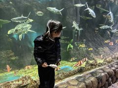 -华夏文旅海洋公园