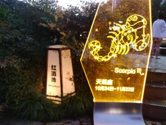 -杭州第一世界大酒店·云曼温泉