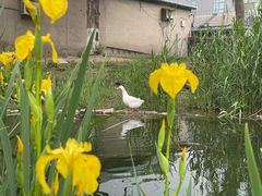 -三里河公园