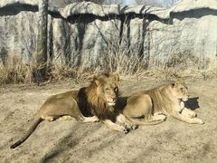 -北京野生动物园