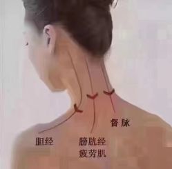 -香薇妮丝女子减肥院