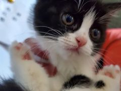 -SAH健身私教工作室(紫东店)