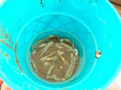 -东戴河风景区-止锚湾