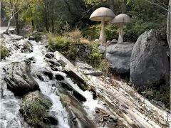 -灵山