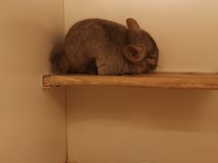 -龙猫仔乐园(惠福东路店)