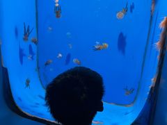 -泉城欧乐堡海洋极地世界