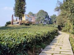 -桤木河湿地公园