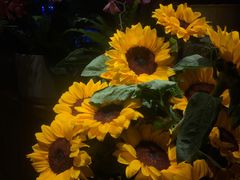 -春暖花开(西溪店)