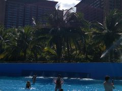 -亚马逊丛林水乐园