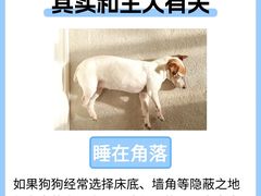 -申普宠物医院(总院)