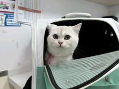 -宠颐生宠物医院·犬猫全科·皮肤科(商业街店)
