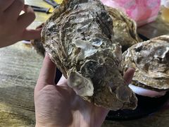 -蚝抵食·湛江生蚝(湾北路店)