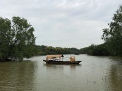 -大湾区中央湿地公园