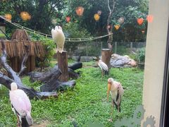 -熊猫自助餐厅.萌趣城堡(长隆熊猫酒店)