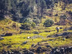 -硗碛藏寨·神木垒景区