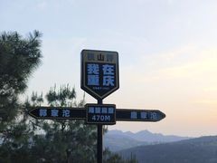 -铁山坪森林公园