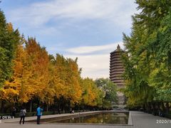 -玲珑塔公园