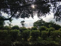 -胡里山炮台