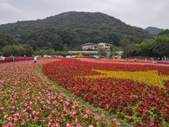 -广州市石门国家森林公园