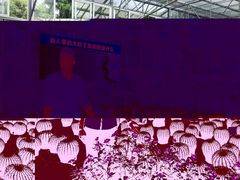 -广东茂名森林公园