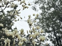-湘子庙