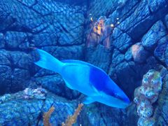 -成都浩海立方海洋公园