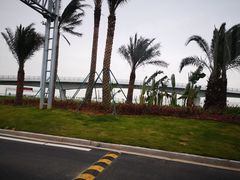 -港珠澳大桥码头