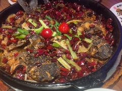 -老板恋上鱼(恒隆广场店)