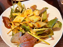 -滇野云南野生菌餐厅(陕西南路店)