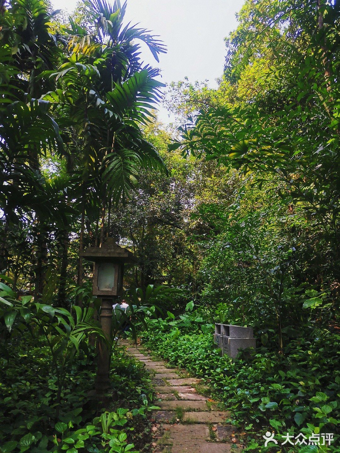 广州周末游|体验空谷幽兰～兰圃