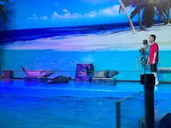 -乌鲁木齐海洋馆
