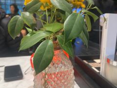 -外滩三号餐厅·创意中餐