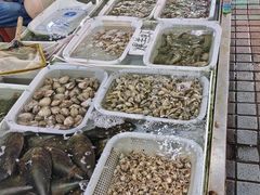 -南沙十九涌渔人码头-南门