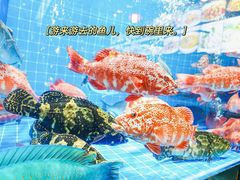 -叶氏大快活酒楼·佛山老字号