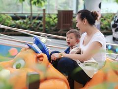 游乐设施-南宫五洲植物乐园