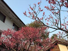 -唐风温泉