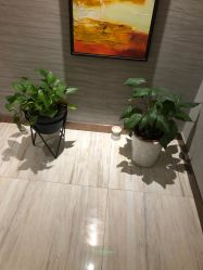 -苑苑vbeauty科技美容SPA