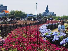 -荷兰花海